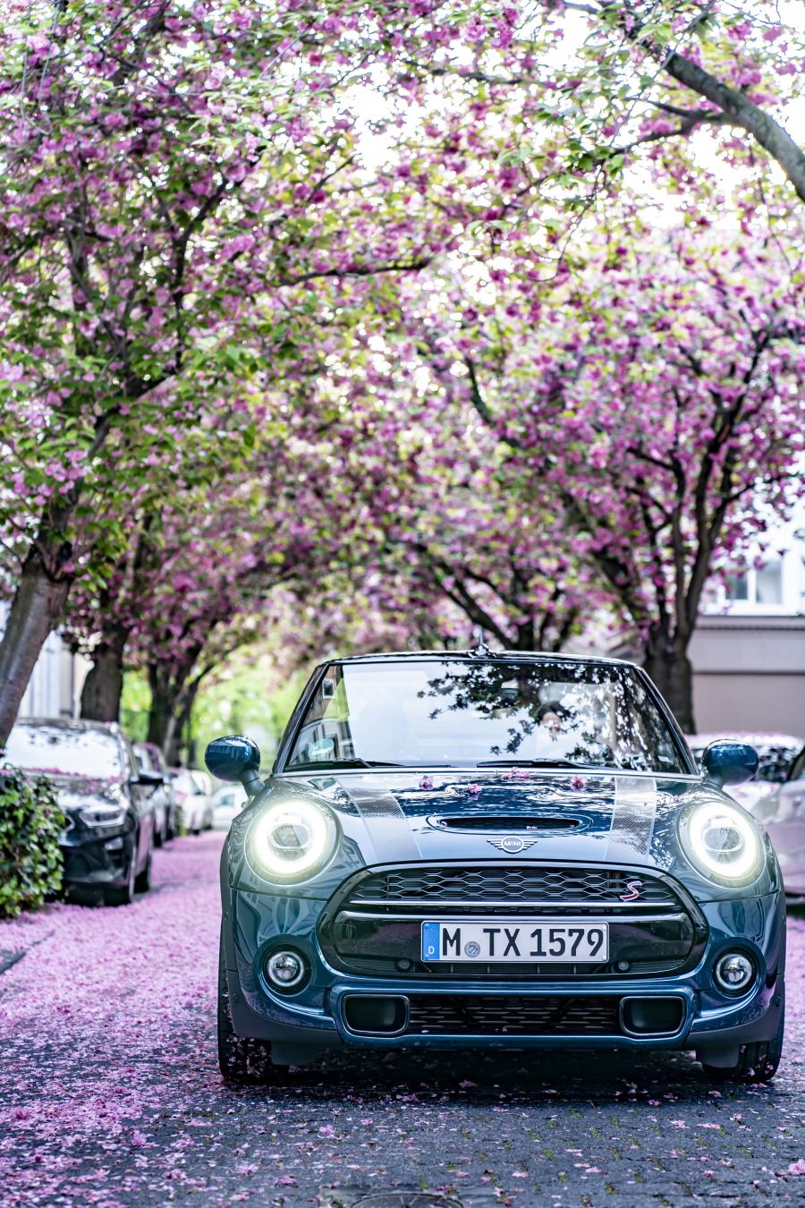  Mini Cooper S Cabrio Sidewalk (F57) 2020 года  (WW) (фото 39 из 53)